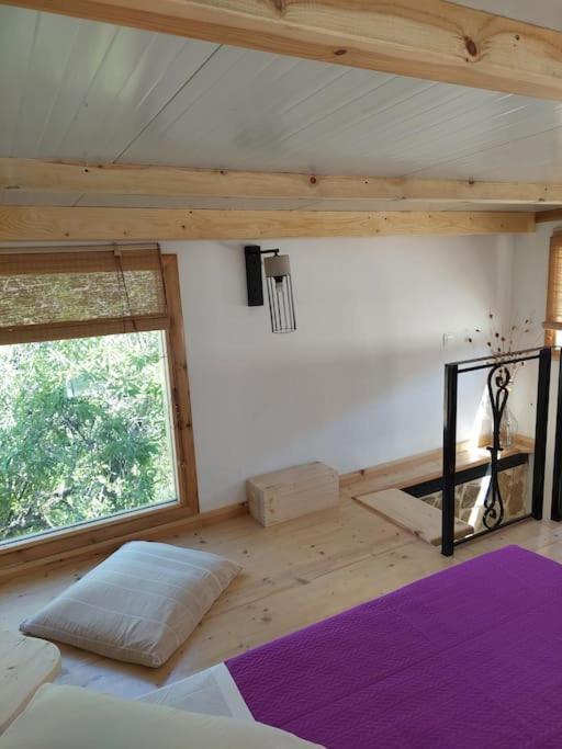 Afionas Das Gruene Haus Zewnętrze zdjęcie